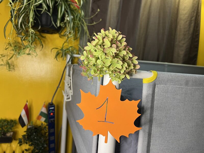 Numbered beds with plants and flags